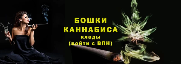 PSILOCYBIN Балахна