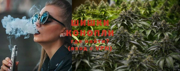 PSILOCYBIN Балахна