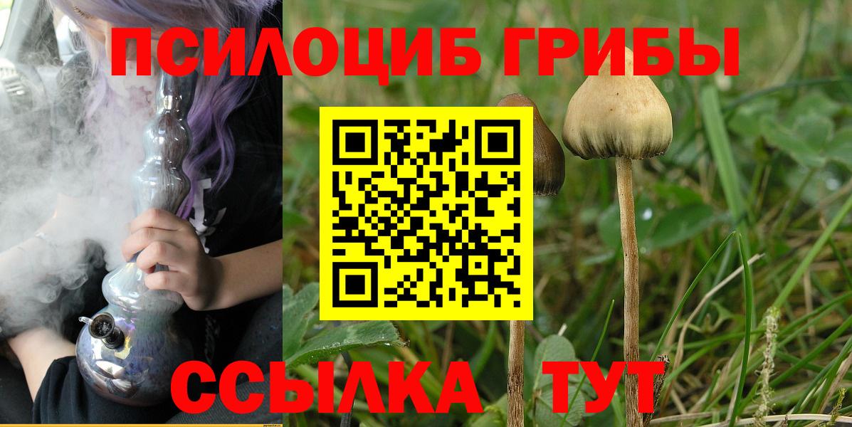 Борисоглебск  Псилоцибиновые грибы мухоморы  Вход с VPN 