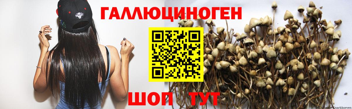 Галлюциногенные грибы GOLDEN TEACHER Борисоглебск